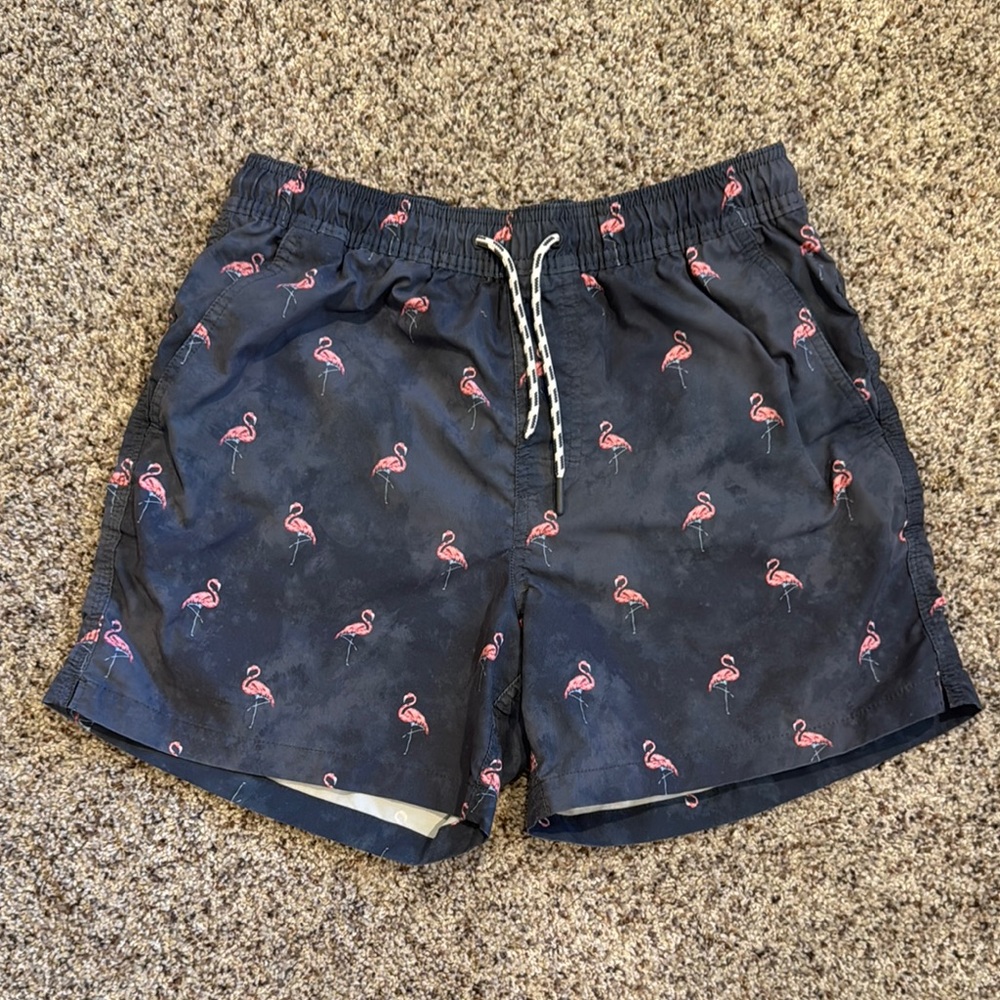 American Eagle Outfitters Blue and Pink Flamingo Swim Trunks 5 inch